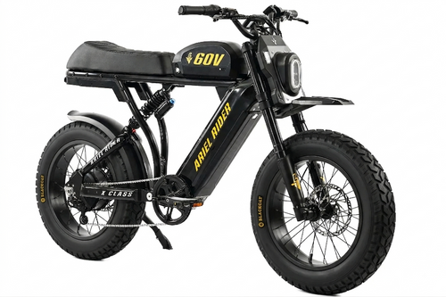 20x4 Black Cat Dual Sport Tire (Most Popular)